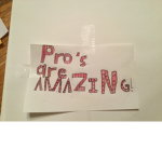 Pro’s and Pro’s