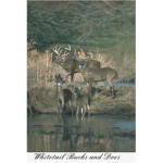 Big game hunters!