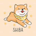 Shiba army!