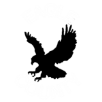 Eagle County
