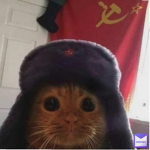 russian cat group