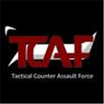 Tactical Counter Assault Force
