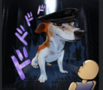 The dog is chasing me