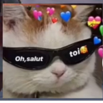 Juxt_noah