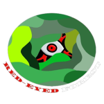 Red-Eyed Forest Studio