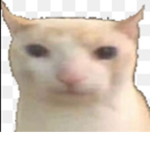 Bruhcat Science Inc.