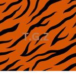 Tigerz (Booga Booga)