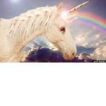 Unicorn fan club123