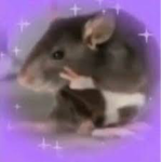 The rat cult of roblox :D