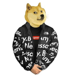 Doges United! (est. 2023)