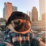 Nah Gi rer sin ######