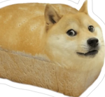 the hacker doges