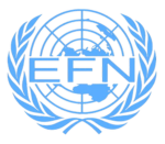 Earth Federal Navy