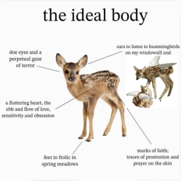⋆˚࿔
