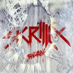Skrillex Fan group!!!!!!!