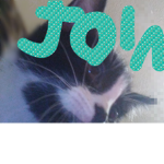 Kid-E cat group....