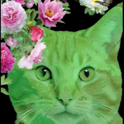 Flight of the Green Oscar X