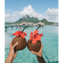 𝙗𝙚𝙩𝙩𝙚𝙧 🥥