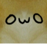 SUS Channel