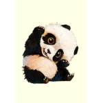 Panda squad xo