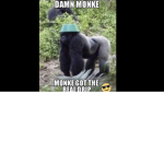 MONKE IS POGGERS