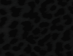 skulln Group Thumbnail