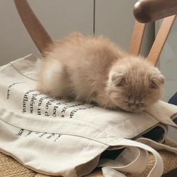 ♡