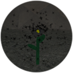 Black Flower