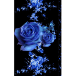 Aesthetic. _.Roses