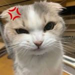 영원히 가장 친한 친구