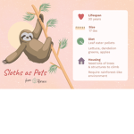~Official Sloth Fan Group~