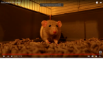 help im brored