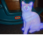 bb kats