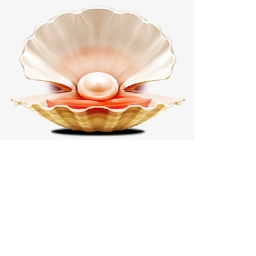 SEA SHELL BEACH