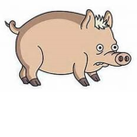 Teh#pigsquad