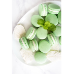 MintyMacaroon Fans