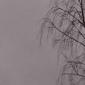 donation/ commison place