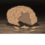 Broken BrAin Experiences