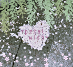 ٭Petalwish٭