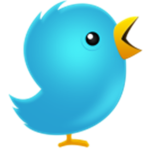 #TEAM BIRD SQUAD