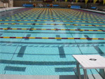 Swimmers of Roblox