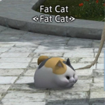 The fat cats army!