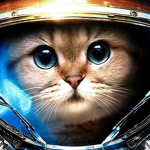 The cat is a good