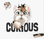 WeLikeCatsParade
