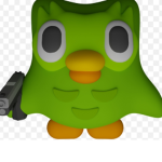 SEGUIDORES/AMIGOS