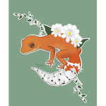 *Gecko Group*