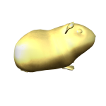 The Golden Guinea Pig