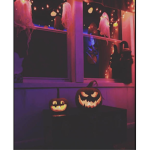 Rexitos :D