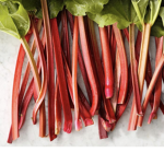 Rhubarb Club