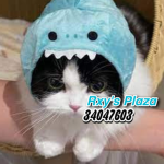 Rxy's plaza